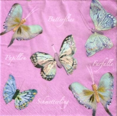 Wunderschöne Schmetterlinge - Beautiful butterflies- Beaux papillons