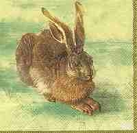 Hübscher Hase, Dürer Hase - Pretty hare, Dürer hare - Joli lièvre, Dürer lièvre
