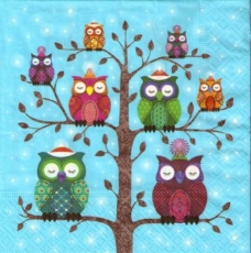 Bunte Eulen mit Mütze auf Baum - Colorful Owls with Hat on Tree - Hiboux colorés avec chapeau sur Arbre