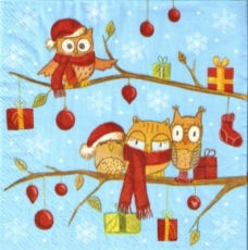 Lustige Eulen & Geschenke auf Baum - Funny Owls & Gifts on tree - Drôle Hiboux & cadeaux sur arbre