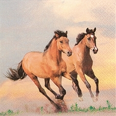 Wilde Pferde - Wild horses - Les chevaux sauvages