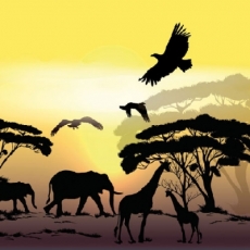 Tiere der afrikanischen Savanne - Animals of the african savannah - Animaux de la savane africaine