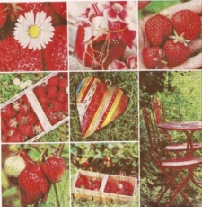 Collage von Erdbeeren - Collage of strawberries - Collage de fraises