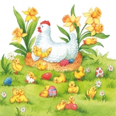Mutter Henne, Küken, Ostereiern & Narzissen - Mother hen, chicks, easter eggs and daffodils - Mère poule, poussins, oeufs de Pâques et jonquilles