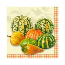 Kürbisse klein - Pumpkins