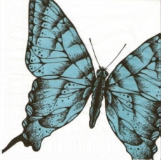 Blauer Schmetterling - Blue butterfly - Papillon bleu