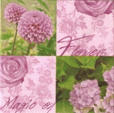 Magic of flowers - Rose, Hortensie -  Hydrangea - Hortensia