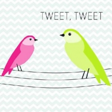 2 Vögel, zwitscher, zwitscher - 2 Birds, tweet, tweet - 2 Oiseaux,  gazouillis, gazouillis