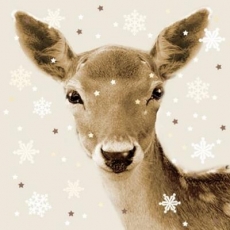 Hübsches Reh - Pretty deer - Jolies cerfs