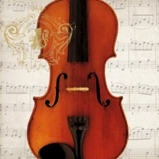 Violinenkonzert, Musik, Noten - Violin concert, music - Violon, Concert de violons, musique