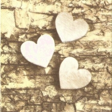 Herzen aus Holz auf Borke - Wooden hearts on bark - Coeurs en bois sur lécorce