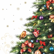 Kleines Rotkehlchen im Weihnachtsbaum - Little Robin in christmas tree - Petit rouge-gorge dans larbre