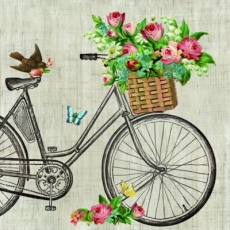 Korb voller Blumen & Rotkehlchen am Fahrrad - Basket full of flowers and robin on bicycle - Panier plein de fleurs & rouge-gorge à vélo