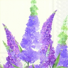 Wunderschöner Flieder - Buddleja - beautiful Lilac- Lilas jolie