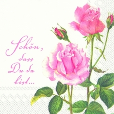 Rose für Dich: Schön, dass Du da bist.... - A Rose for you - Une rose pour vous
