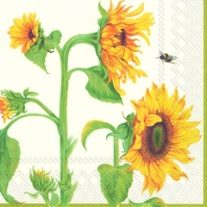 Biene an Sonnenblumen - Bee at sunflowers - Abeille sur tournesol