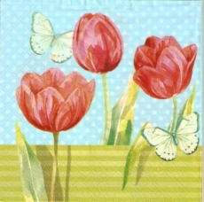 Tulpen & Schmetterlinge - Tulips & Butterflies - Tulipes et papillons