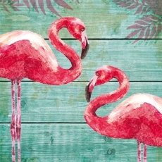 Flamingos - flamants - flamencos - fenicotteros