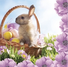 Süßes Häschen im Osterkorb - Cute bunny in easter basket - Lapin mignon dans le panier de Pâques