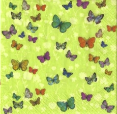 164 Schmetterlinge - 164 Butterflies - 164 Papillons