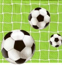 Fußbälle im Tor - Footballs and goal - Footballs et objectif