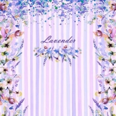 Lavendel & andere Blumen - Lavender & other flowers - Lavande & autres fleurs