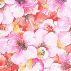 Blütenmeer pink bis rot - Sea of flowers pink up to red - Mer de fleurs rose jusqu à rouge