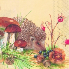 Igel auf Futtersuche - Hedgehog looking for food - Hérisson en cherchant la nourriture