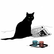 Katze mit Zeitung - Cat with Newspaer - chat avec Journal