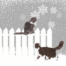 2 Katzen an einem Zaun im Winter - 2 Cats at a fence in winter - 2 chats à une clôture en hiver