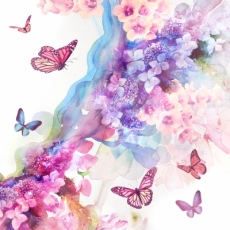 Schmetterlinge im Farbenrausch - Butterflies bewitched by colors - Papillons infatués avec des couleurs
