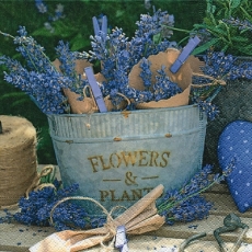 Kleine Lavendelsträuße - Small lavender bouquets - Petits bouquets de lavande