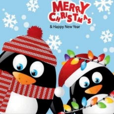 2 lustige Pinguine zur Winter-/Weihnachtszeit - 2 funny penguins at Winter/Christmas time - 2 pingouins gais à lheure dhiver et au temps de Noël