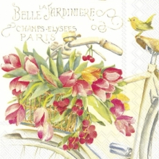 Blumen, Tulpen, Fahrrad & Geschriebenes - Flowers, tulips, bicycle & writing - Fleurs, tulipes, bicyclette & écrit