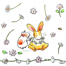 Gänseblümchen für die Hasen - Daisies for the rabbits - Pâquerettes pour les lièvres