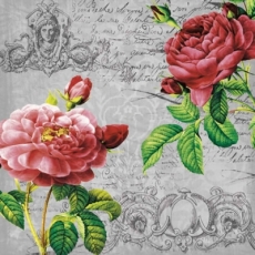 Nostalgische Rosen - Nostalgic Roses - Roses nostagique