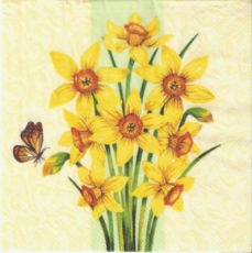 Schmetterling an Narzissenblüten - Butterfly and daffodils - Papillon et jonquille