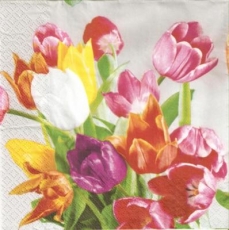 2 farbenfrohe Tulpensträuße - 2 colorful tulip bouquets - 2 bouquets de tulipes multicolores