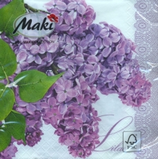 Erblühter Flieder - Flowering Lilac - Lilas fleuri