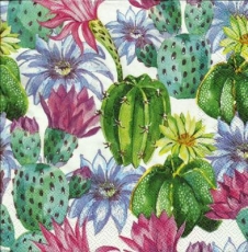 Blühender Kakteengarten - Blossoming cactus garden - Jardin de cactus fleurissant