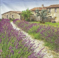 Lavendel aus der Provence - Lavender from the Provence - Lavande de la Provence