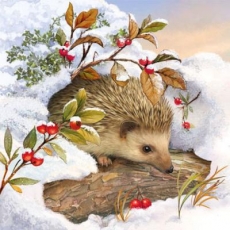 Igel im Schnee - Hedgehog in the snow - Hérisson dans la neige