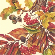 Eicheln, Beeren & buntes Laub - Acorns, berries & colorful foliage - Glands, baies et feuillage coloré