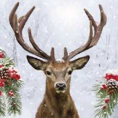 Hirsch im Schneefall - Deer, stag in the snowfall - Cerf dans la chute de neige