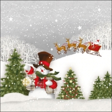 Weihnachtsmann in seinem Schlitten & Schneemann - Santa Claus in his sleigh and snowman - Père Noël dans son traîneau et bonhomme de neige