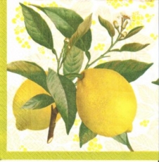 Erntereife Zitronen - Fresh lemons - Citrons frais