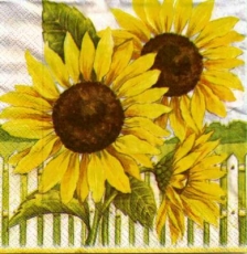 Sonnenblumen am Zaun