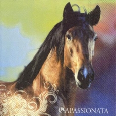 Wunderschönes PFerd - Beautiful horse - Beau cheval