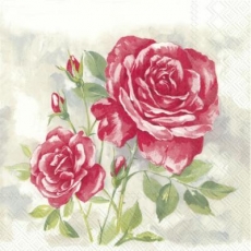 Wunderschöner Rosenstock, rot - Beautiful rosebush, red -Beau rosier, rouge