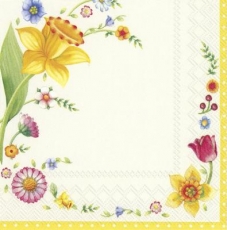 Bluhmenrahmen mit Narzissen & Tulpen - Floral frame with daffodils and tulips - Cadre floral avec des jonquilles et des tulipes